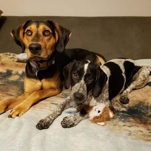 Meet your Posher, Cory